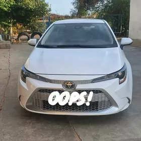 Toyota Corolla 2020