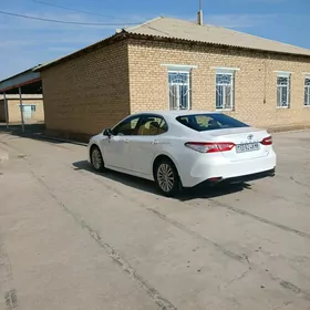 Toyota Camry 2019