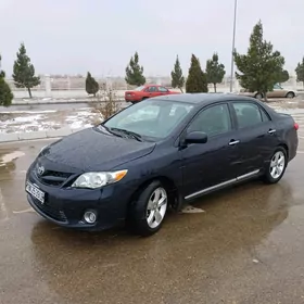 Toyota Corolla 2013