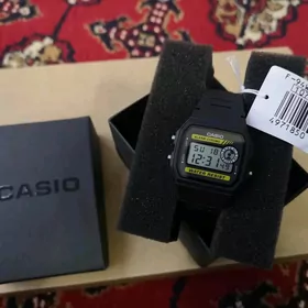 Casio sagat