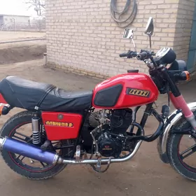 Jawa 300 2024