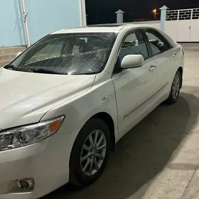 Toyota Camry 2010