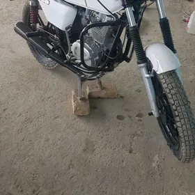 Jawa 300 2024