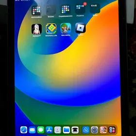 iPad Pro