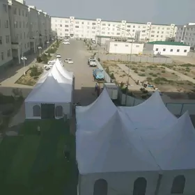 Palata gummez Toy we sadaka "