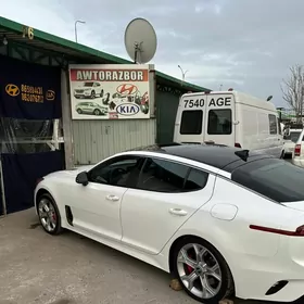 SONATA optima Morda