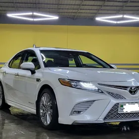 Toyota Camry 2020