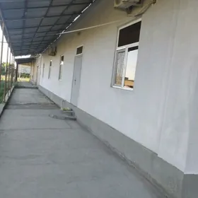 Крейине учаска жай