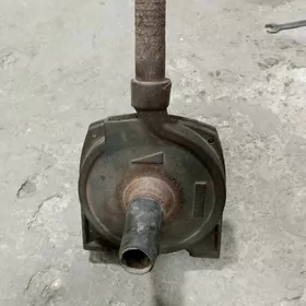 Nasos shimge zapcas