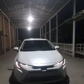 Toyota Corolla 2021