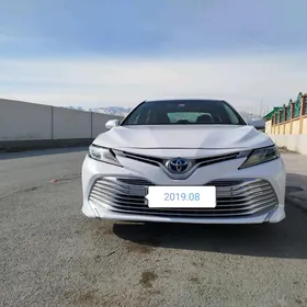 Toyota Camry 2019