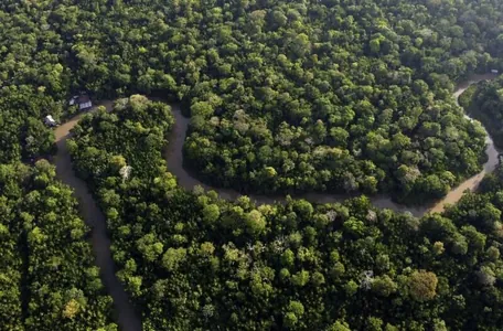 COP16-a gatnaşyjy ýurtlar tebigaty goramak üçin 200 mlrd dollar bölüp berer