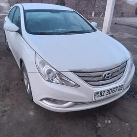 Hyundai Sonata 2010