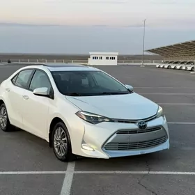 Toyota Corolla 2019