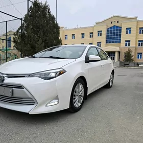 Toyota Corolla 2019