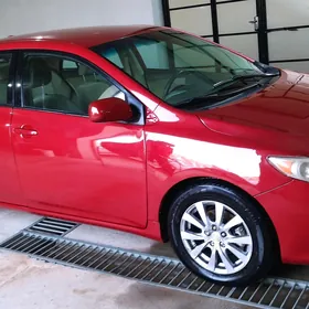 Toyota Corolla 2010