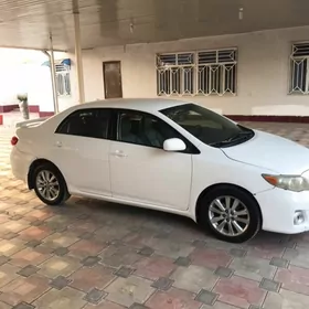 Toyota Corolla 2010