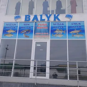 Arenda balyk magazyn