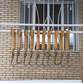 Gassap aran