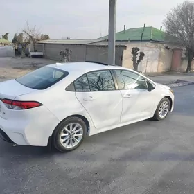 Toyota Corolla 2019