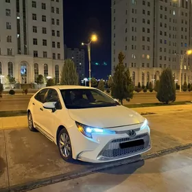 Toyota Corolla 2019