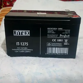 intex