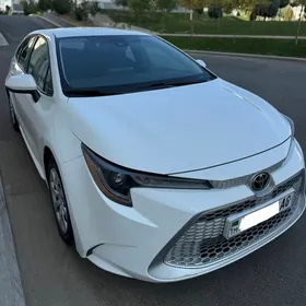 Toyota Corolla 2020