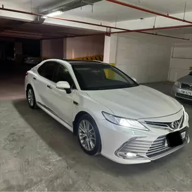 Toyota Camry 2023