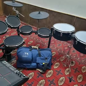 Alesis udarnik