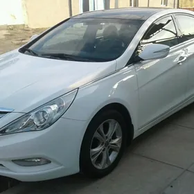 Hyundai Sonata 2010