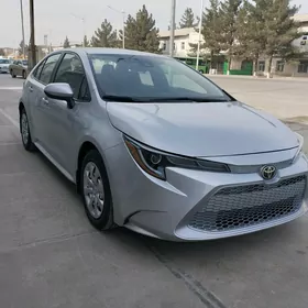 Toyota Corolla 2020