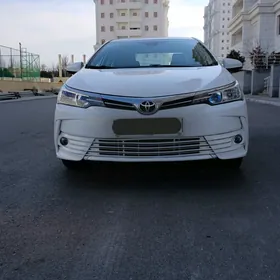 Toyota Corolla 2019