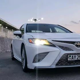 Toyota Camry 2019