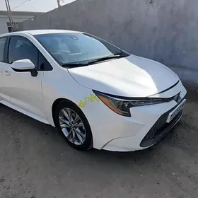 Toyota Corolla 2019