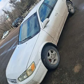 Toyota Camry 1999