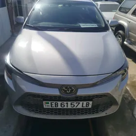 Toyota Corolla 2019