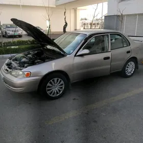 Toyota Corolla 1999