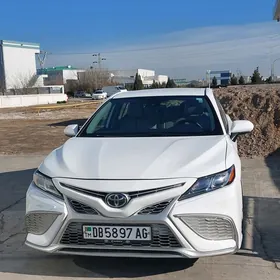 Toyota Camry 2019