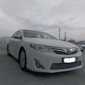 Toyota Camry 2013