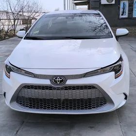 Toyota Corolla 2021