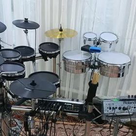 baraban alesis dm10