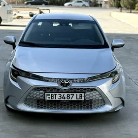 Toyota Corolla 2021