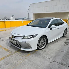 Toyota Camry 2019