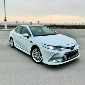 Toyota Camry 2019