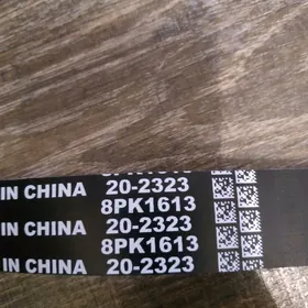 remen  8pk 1613