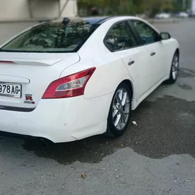 Nissan Maxima 2010