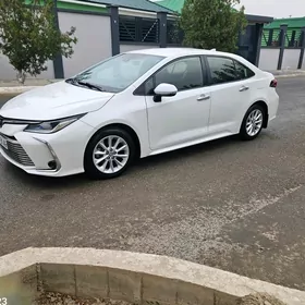 Toyota Corolla 2020