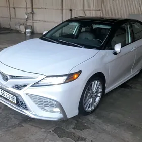 Toyota Camry 2019