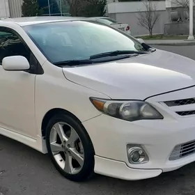 Toyota Corolla 2013