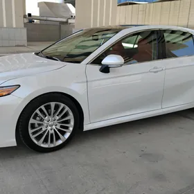 Toyota Camry 2019